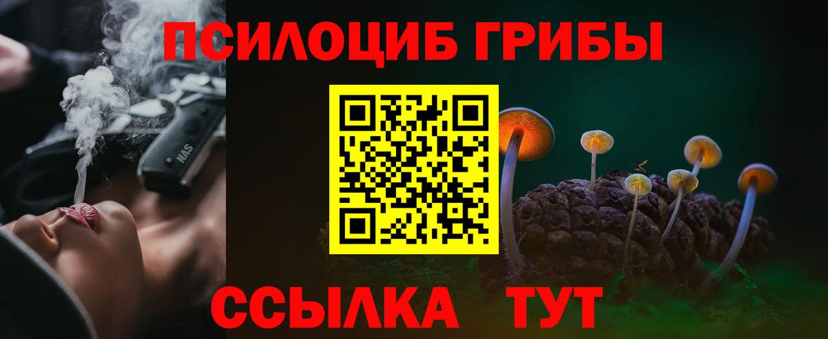 Галлюциногенные грибы мицелий Пугачёв